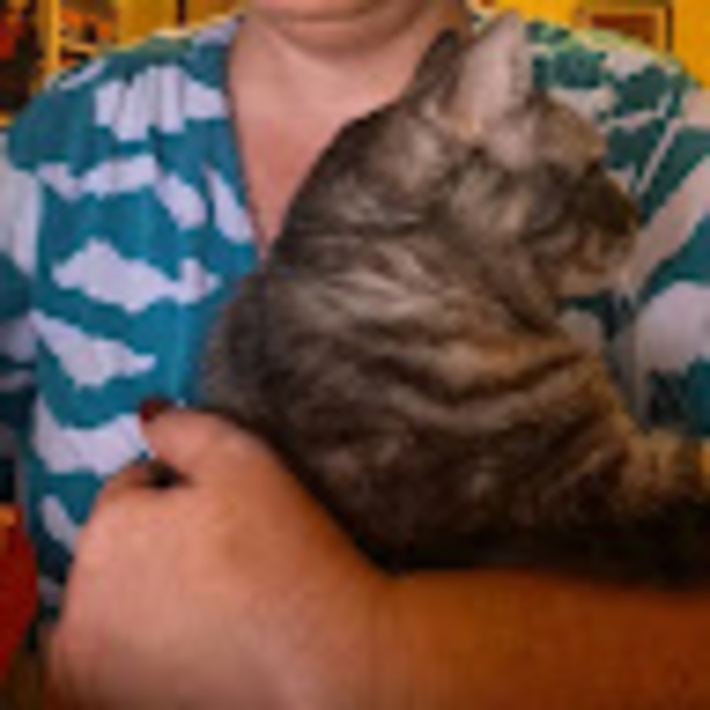 Meet your Posher, Lil